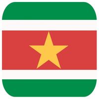 Glas viltjes met Surinaamse vlag 15 st