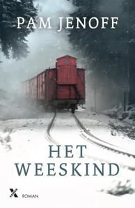 Het weeskind (Paperback)