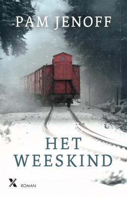 Het weeskind (Paperback)