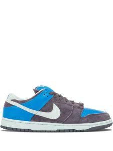 Nike baskets Dunk Pro SB - Gris