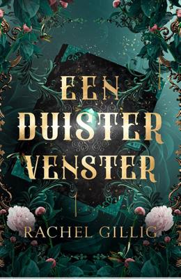 Een duister venster (Paperback)