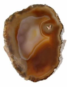 Agaatschijf Natuur Middel (10-15 cm)