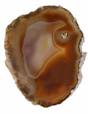 Agaatschijf Natuur Middel (10-15 cm)