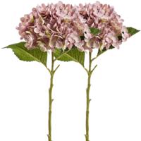 Kunstbloem hortensia tak - 2x - Annabelle - 52 cm - paars - Kunst zijdebloem - Hydrangea