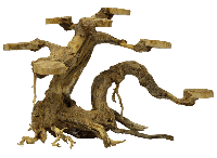 Bonsai Planter Small aquaria - Superfish
