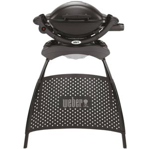 Q1000 + stand Barbecue