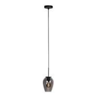 Steinhauer HanglampHaloSwap met 1 smoke glas Ø 15cm - 4290ZW