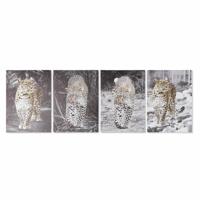Schilderij DKD Home Decor Luipaard Koloniaal (50 x 1,8 x 70 cm) (4 Stuks)