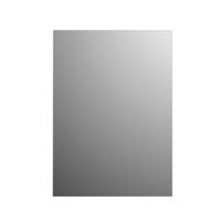 Spiegel Basic Plieger Rechthoekig 4mm 45x30cm Zilver