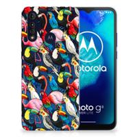 Motorola Moto G8 Power Lite | TPU Hoesje | Birds Motorola Moto G8 Power Lite | TPU Hoesje | Birds
