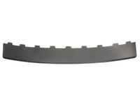 Plaat, bumper 5703055514973P