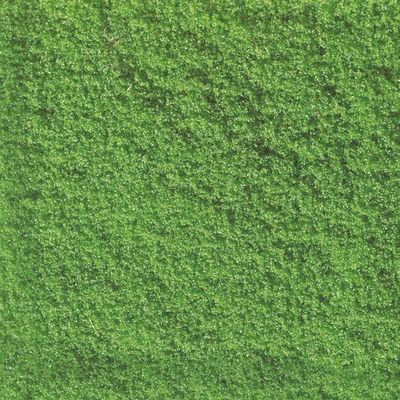 Noch 07241 Flockage lichtgroen, 30 gram Noch 07241 Flockage lichtgroen, 30 gram