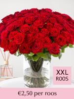 Rode rozen - XXL rozen 65 cm - 10 t/m 99 rozen - Red Naomi