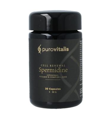 Liposomal spermidine fusion