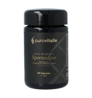 Liposomal spermidine fusion Liposomal spermidine fusion