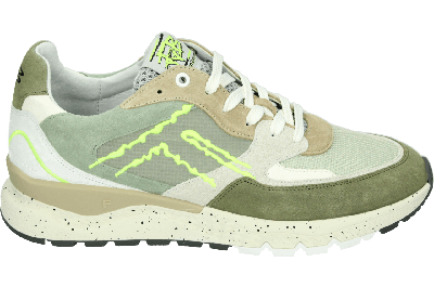 Floris van Bommel DE TREENER 06.06 - alle