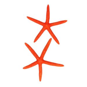 Decoratieve zeesterren oranje