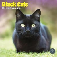 Zwarte Katten Kalender 2026