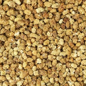 Moerbeibessen wit (bio) 10 kg doos