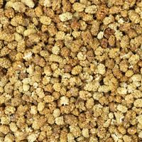 Moerbeibessen wit (bio) 10 kg doos Moerbeibessen wit (bio) 10 kg doos