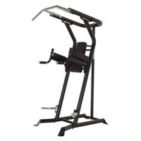 Inspire VKR Power Tower Vertical knee raise