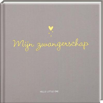 Baby invulboeken - Mijn zwangerschap (Hardback)