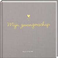 Baby invulboeken - Mijn zwangerschap (Hardback)
