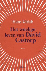 Het woelige leven van David Castorp (Paperback)