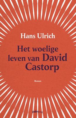 Het woelige leven van David Castorp (Paperback)