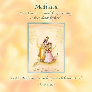 Meditatie, de weldaad van innerlijke afstemming en bevrijdende heelheid - (ISBN:9789464186505)