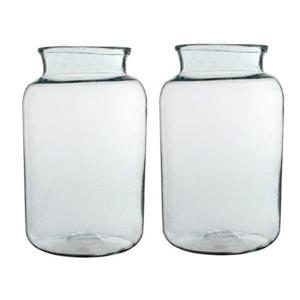 Vaas cilinder - 2x - transparant - glas - 23 x 40 cm - bloemenvazen - woondecoratie / woonaccessoire