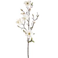 Kunstbloem Magnolia tak - 75 cm - creme - Kunst zijdebloemen   - - thumbnail