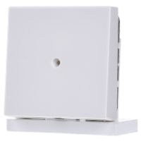 LS 990 A WW  - Basic element with central cover plate LS 990 A WW