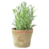 Esschert Design Kunstplant/kruiden rosemarijn - in oude terracotta pot - 16 cm - kruiden   -