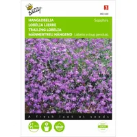 Lobelia, Hanglobelia Sapphire blauw