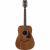 Ibanez AW54-OPN Artwood Open Pore Natural westerngitaar