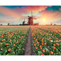 Inductiebeschermer - Molen met Tulpen - 59x52 cm - thumbnail