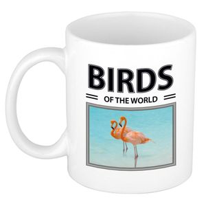 Flamingos mok met dieren foto birds of the world