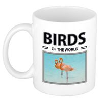 Flamingos mok met dieren foto birds of the world - thumbnail