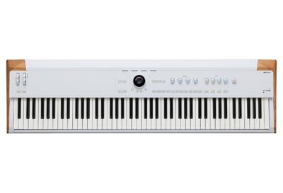 Arturia Astrolab 88