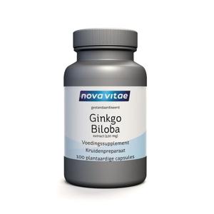 Ginkgo biloba extract 120 mg