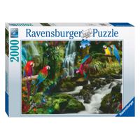 Ravensburger 17111 puzzel Legpuzzel 2000 stuk(s) Dieren - thumbnail