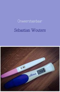 Onweerstaanbaar - Sebastian Wouters - ebook