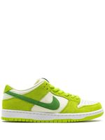 Nike baskets Dunk Pro - Vert