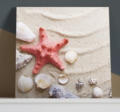 Zeester op strand canvas