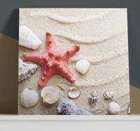 Zeester op strand canvas