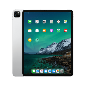 Refurbished iPad Pro 12.9 inch 2020 256 GB Zilver  Licht gebruikt