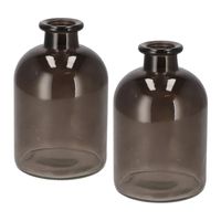 Bloemenvaas fles model - 2x - helder gekleurd glas - zwart - D11 x H17 cm