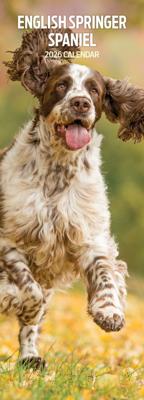 Engelse Springer Spaniel Kalender 2026 Slimline