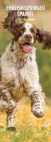 Engelse Springer Spaniel Kalender 2026 Slimline